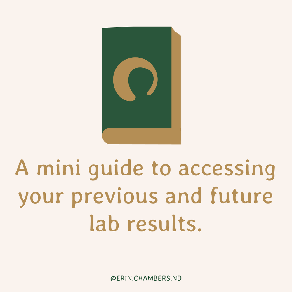Cover Image for Accessing Previous and Future Lab Records + Lab Visit Tips